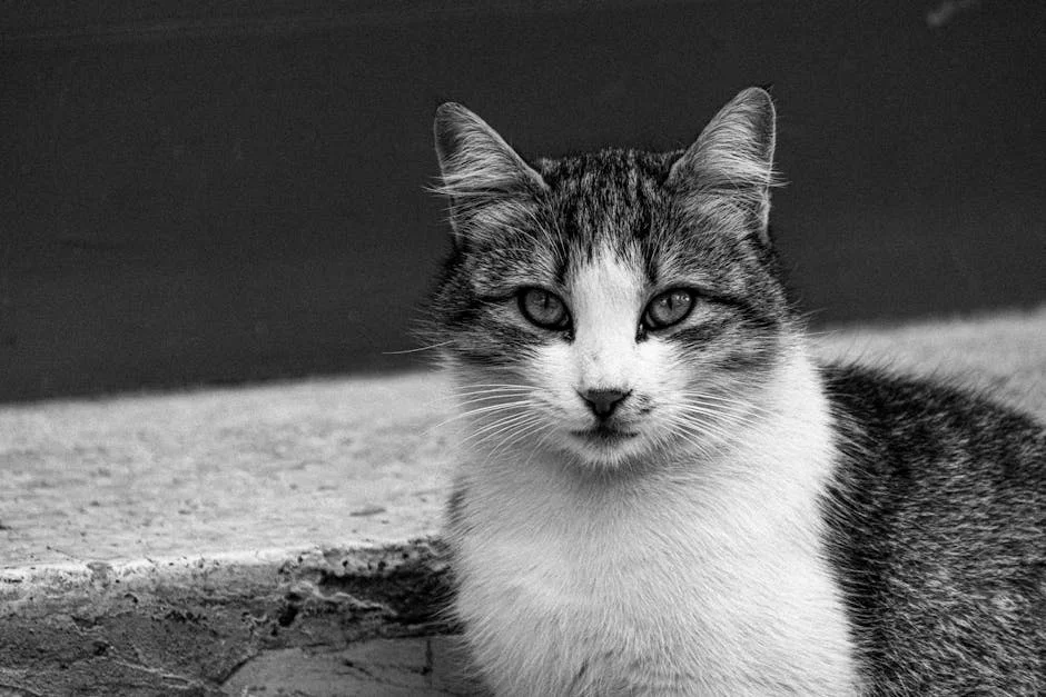 AIADMK Pledges to Eradicate Ganja in Tamil Nadu Within Three Months