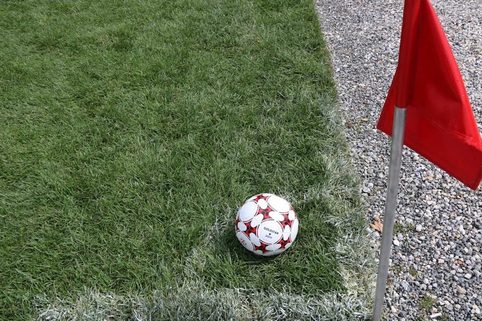 Algeria and Tunisia Hit by Unseasonal Hail Storms on Monday