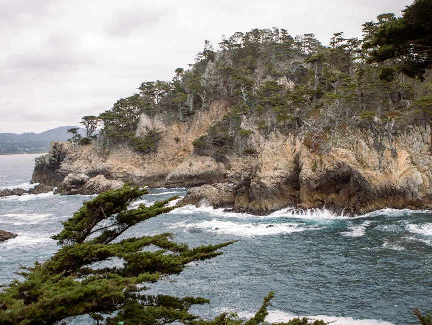 António Lobo Antunes passes away: what his legacy means for Portuguese literature — Business Economy
