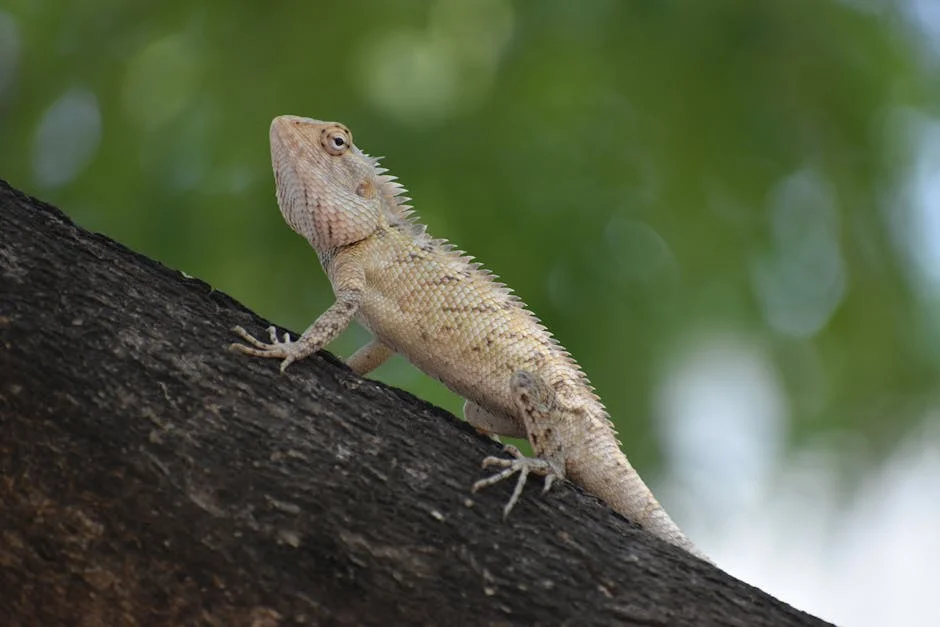 Arakkonam Police Arrest Two Youths for Possession of Narcotic Tablets: What It Means for Local Safety — Business Economy