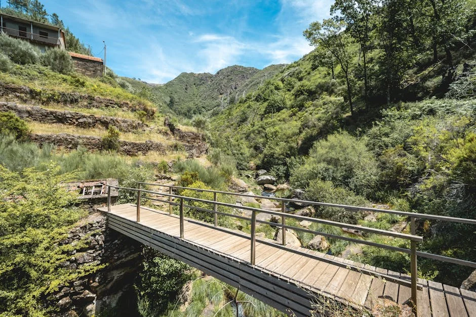 Arouca Football Club Ex-Director and Players Convicted of Corruption: What It Means for Local Fans