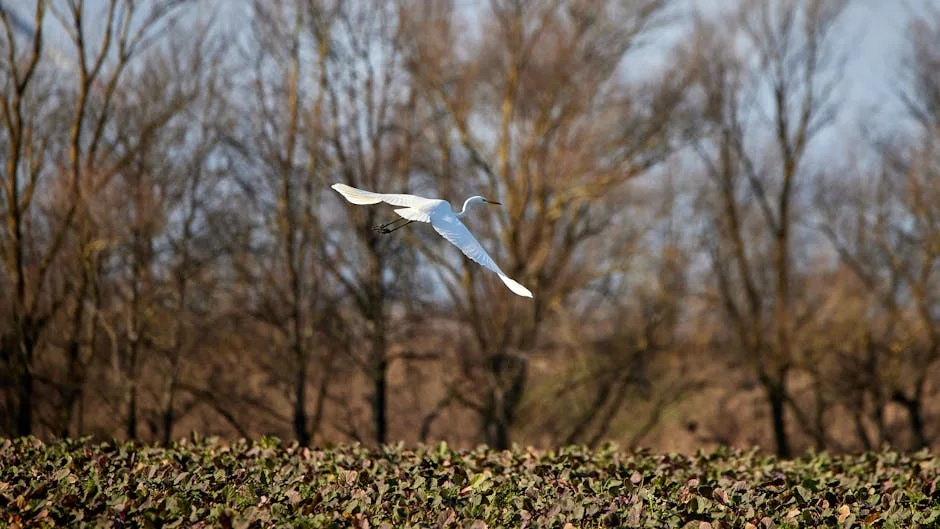 Arsenal's Late Penalty Saves Champions Glory For Leverkusen - Match Impact Explained