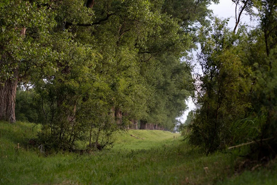 Aryna Sabalenka Saves Match Point to Claim Indian Wells Title