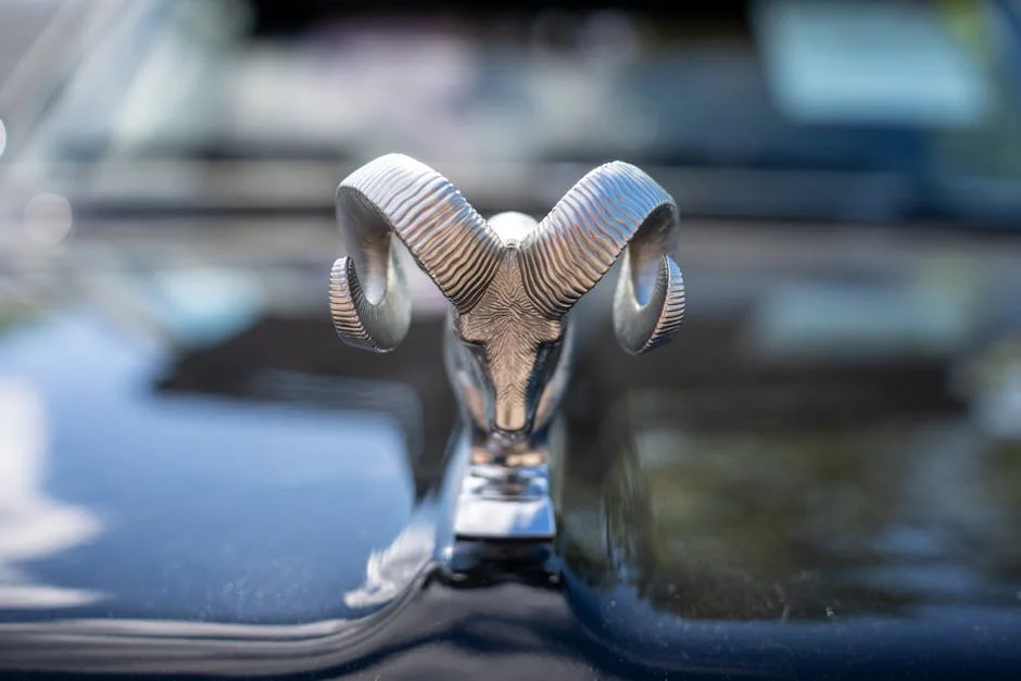 Aviation Minister Ram Mohan Naidu Slams Aircraft Procurement Delays