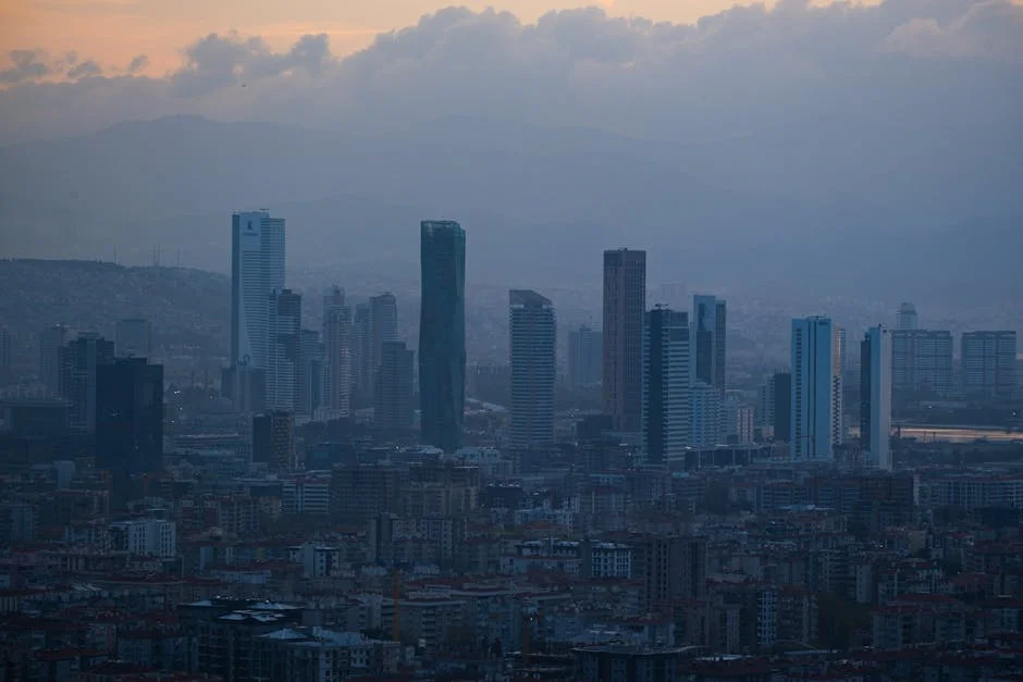 Bajaj Finance and Sun Pharmaceuticals Lead Stock Watch Ahead of March 6 — What It Means for Investors — Business Economy