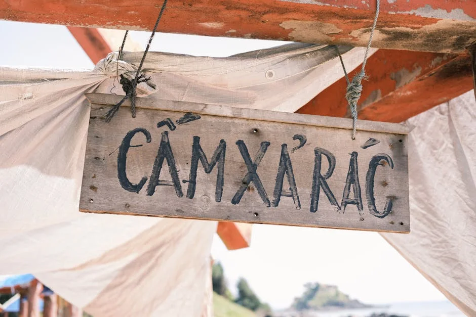 Bangladesh's Cricket Board Faces Leadership Crisis Amid T20 World Cup Ban