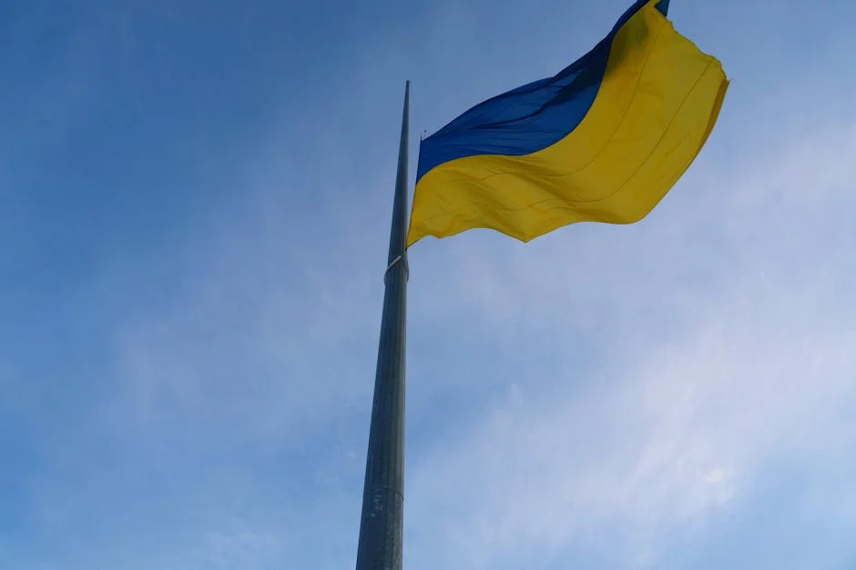 Benfica Welcomes Sudakov to Training Ahead of Clássico: What This Means for Fans — Business Economy