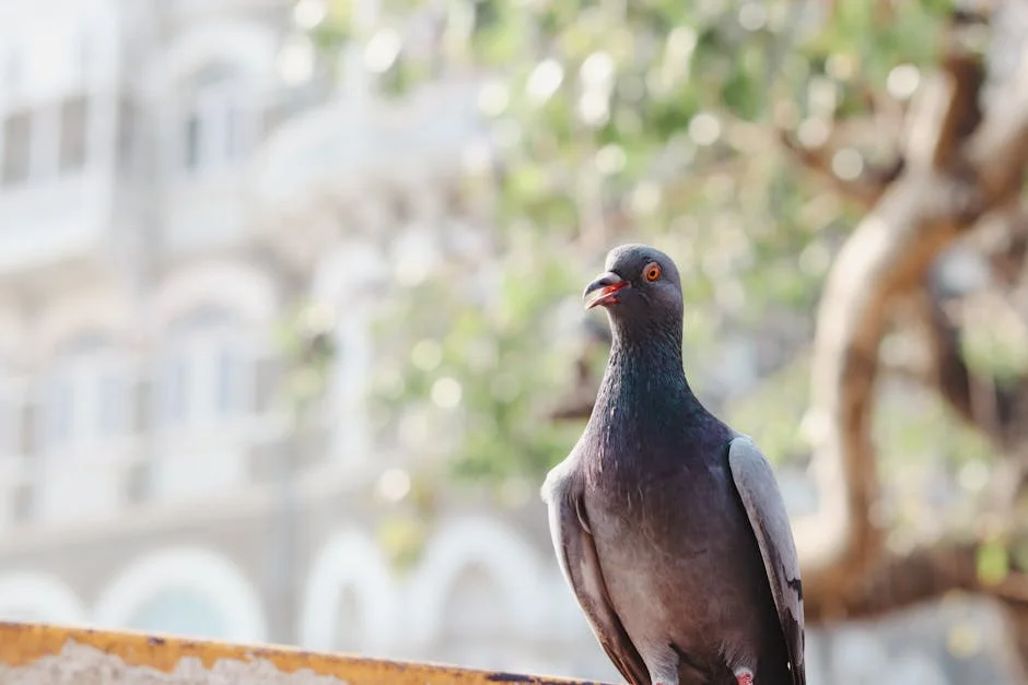 Bombay High Court Releases Clerk Exam Centre List — 1,382 Jobs at Stake — Business Economy