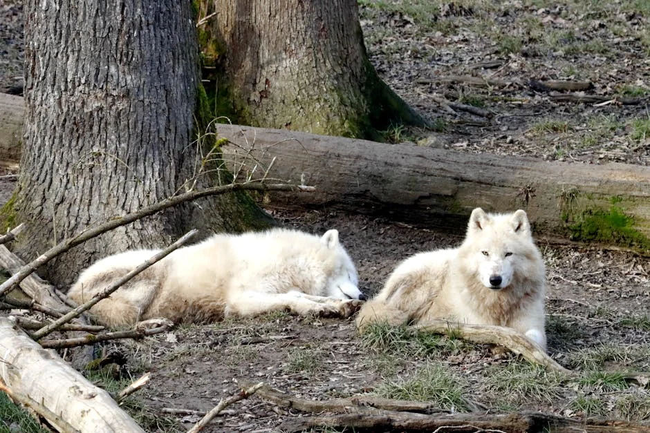 Brazil's Mediation Body Resolves 6,100 Consumer Disputes in 2025 — Business Economy