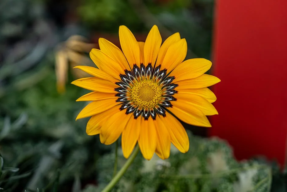 Brigid Kosgei breaks record at Tokyo Marathon — what it means for Kenyan athletics — Business Economy