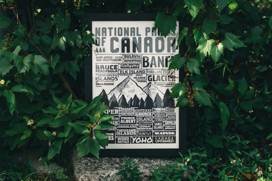 Bruce Whitfield Reveals Shoprite’s Plans to Reshape Local Retail — What It Means for Communities — Business Economy