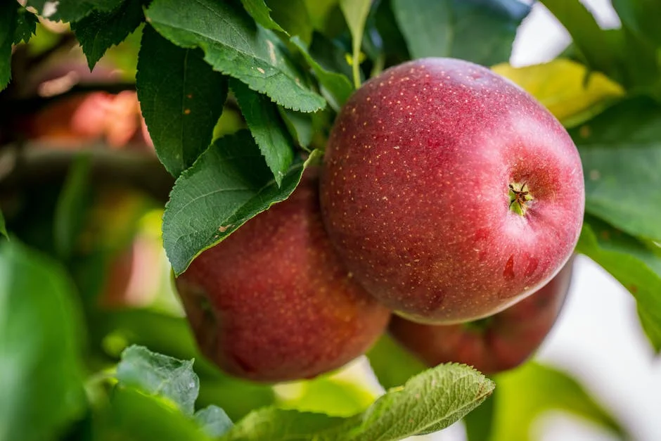 Busch Light Apple Returns — But Will It Stay?