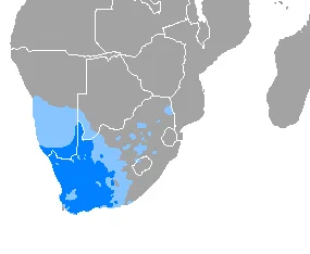 Cape Town Affordable Housing Projects Gain Momentum