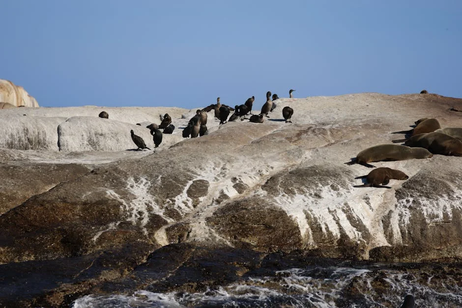 Cape Town Comedian David Kau Lights Up City With Stand-Up Show
