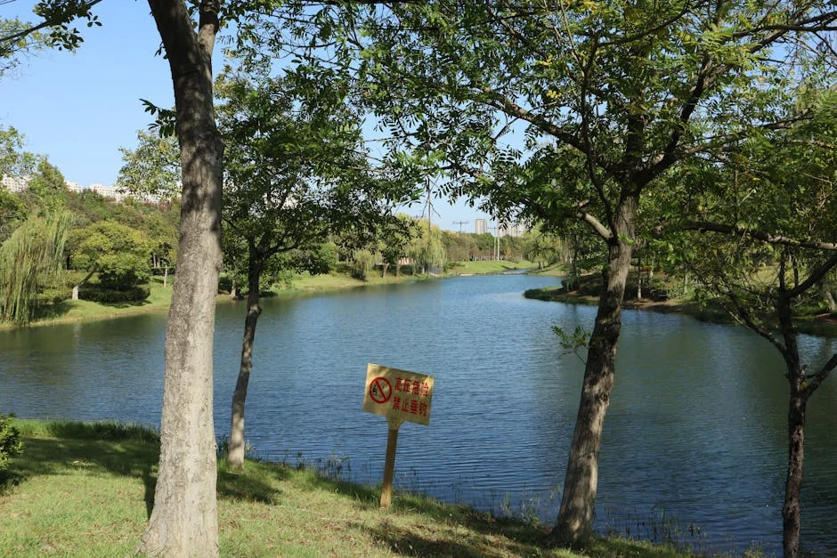 China and Seychelles Sign Historic Trade Pact — Boosting Regional Economy