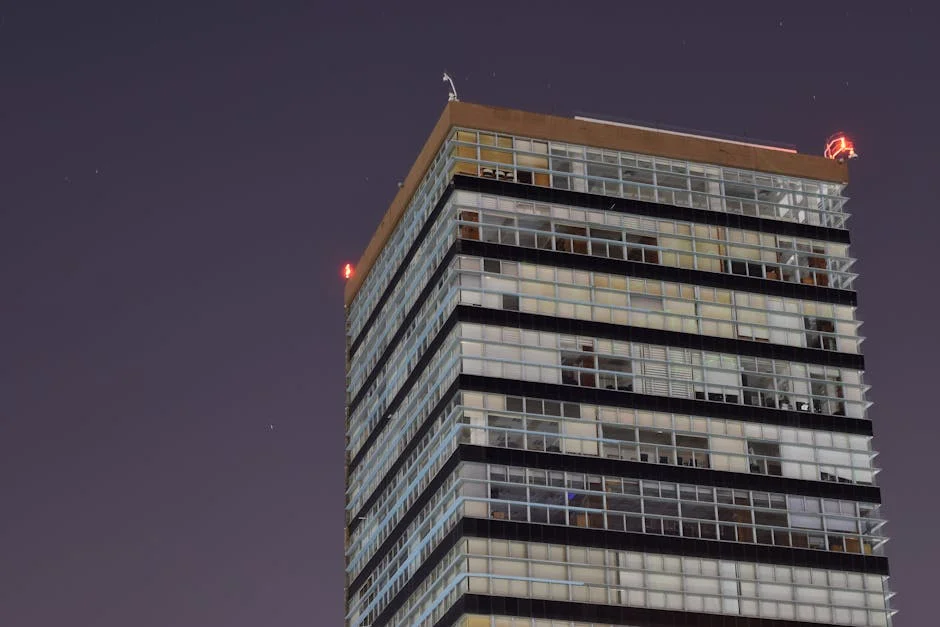 Coimbra Study Reveals Insights on Deaf Brain Reorganisation – What It Means for Education — Education