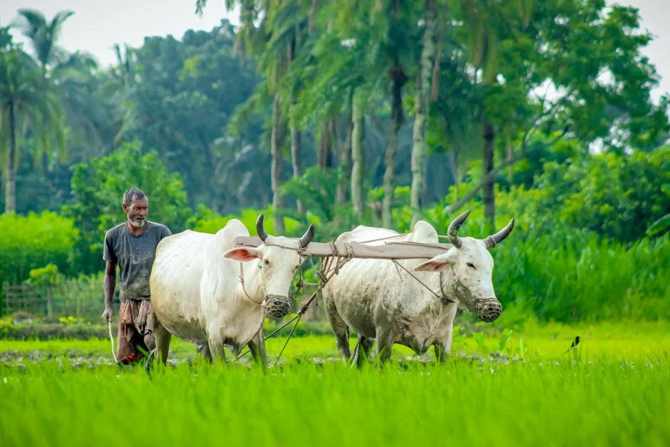 Congress Halts Assam Strategy After Shock Poll Loss — Politics Governance