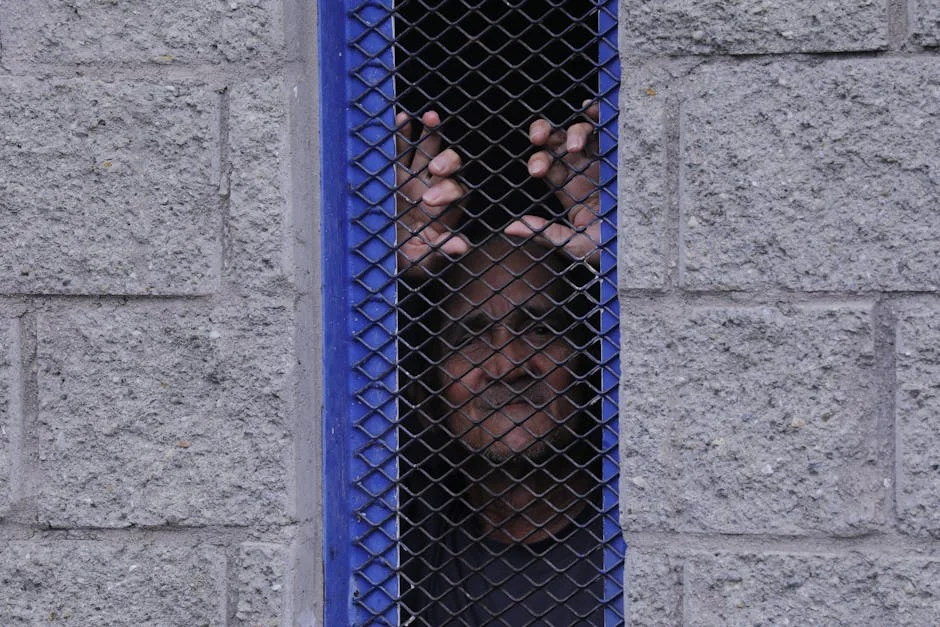 Court sentences two men to 20 years RI for sexual assault in Delhi — Business Economy