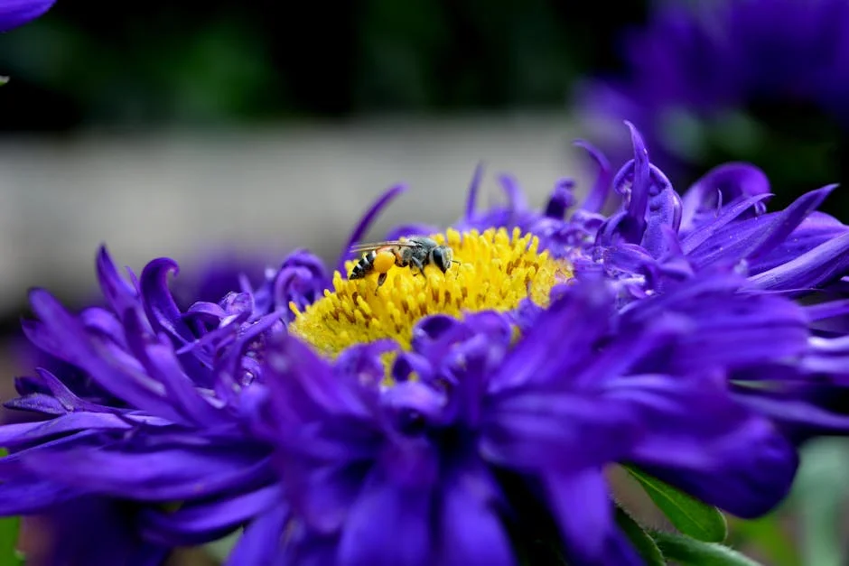 Delhi CM Rekha Gupta inaugurates Flower Festival 2026: A bloom for local culture and economy — Education