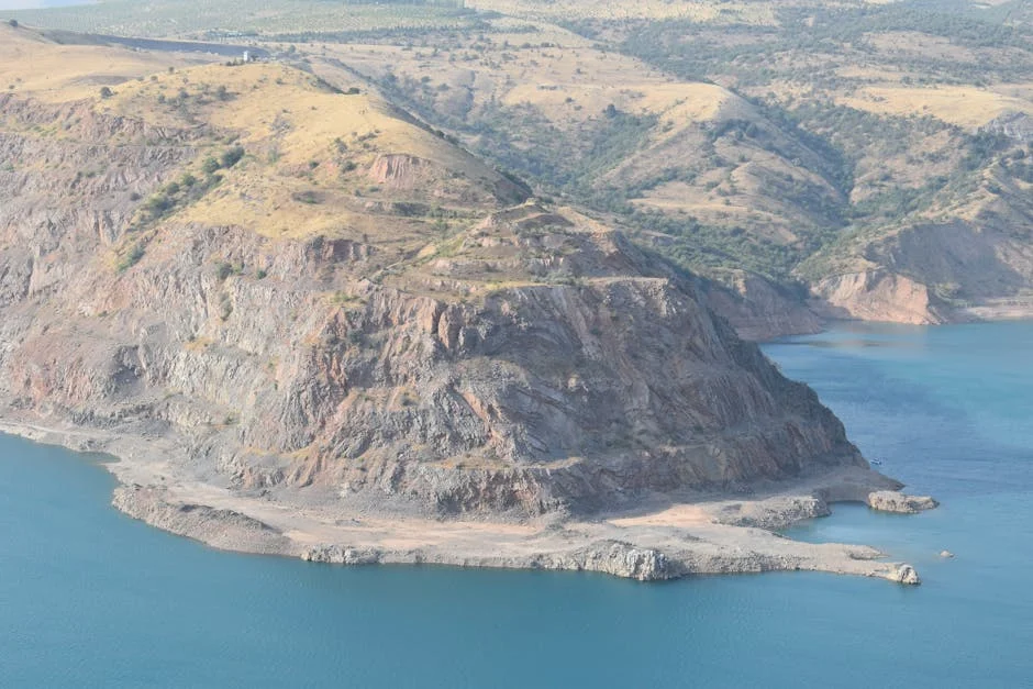 Dhurandhar 2 Rakes in Rs 1,492 Crore as Pushpa 2 Dominates Box Office