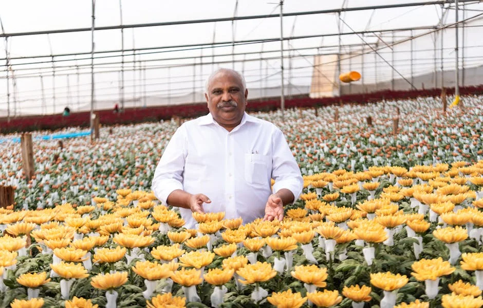 DK Shivakumar Secures CLP Nod as Karnataka's Next CM — Oath on June 3 — Local News