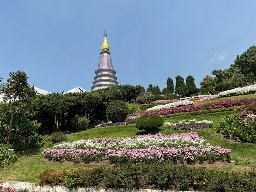 Dois Unused Dental Cheques Exposed: What This Means for Local Communities — Business Economy