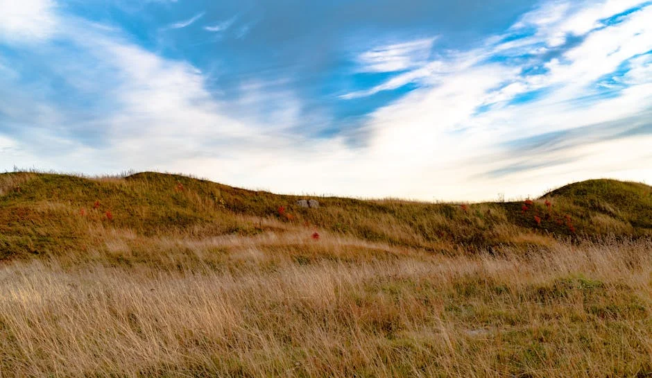 Duplantis Shatters Pole Vault World Record - Uppsala Celebrates a New Champion