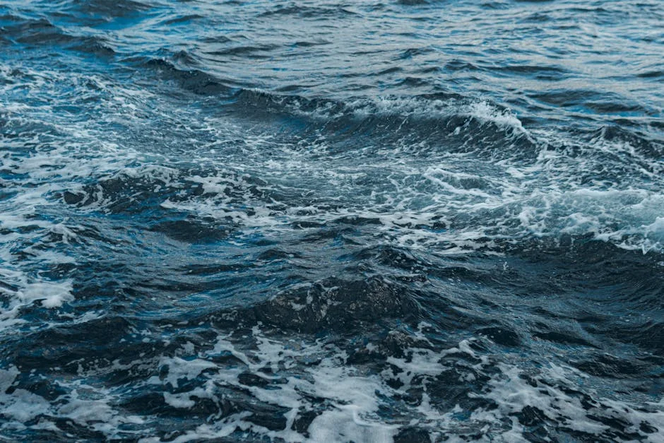Durban Scholar Pushes Indian Ocean Security Agenda — Development