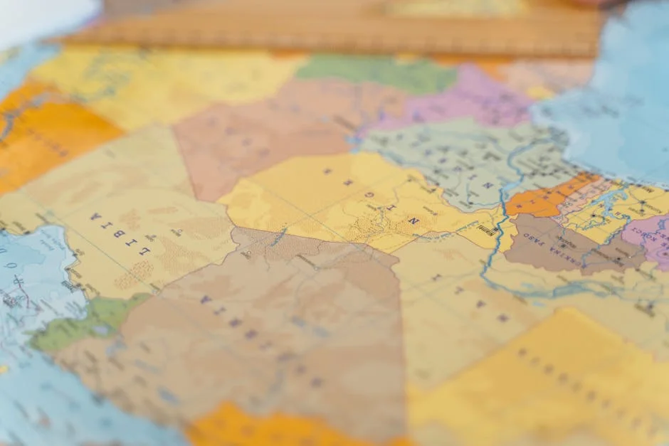 Erdimi resigns as Chad's Higher Education Minister: implications for local students — Politics Governance