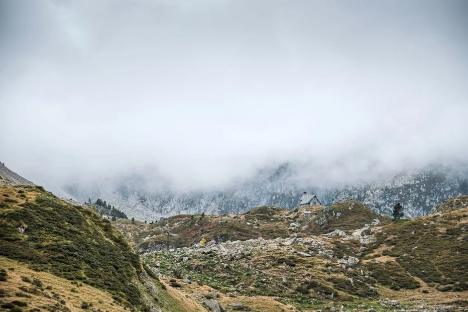 Esta Reveals Key Insights - Lisbon's Financial Landscape Transformed — Business Economy