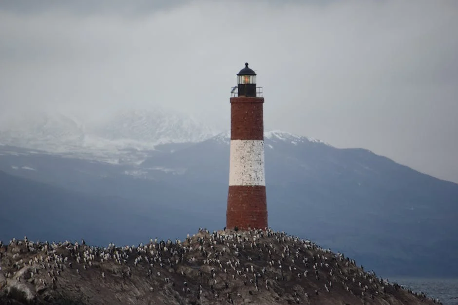 Estado Launches Offensive to Destroy Underground Weapon Warehouses: What It Means for Citizens — Business Economy