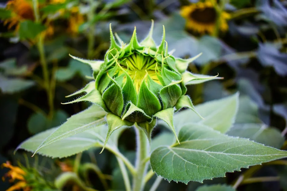 Ex IAF Chief Reveals How West Asia Conflict Boosts India's Air Defence - Explained