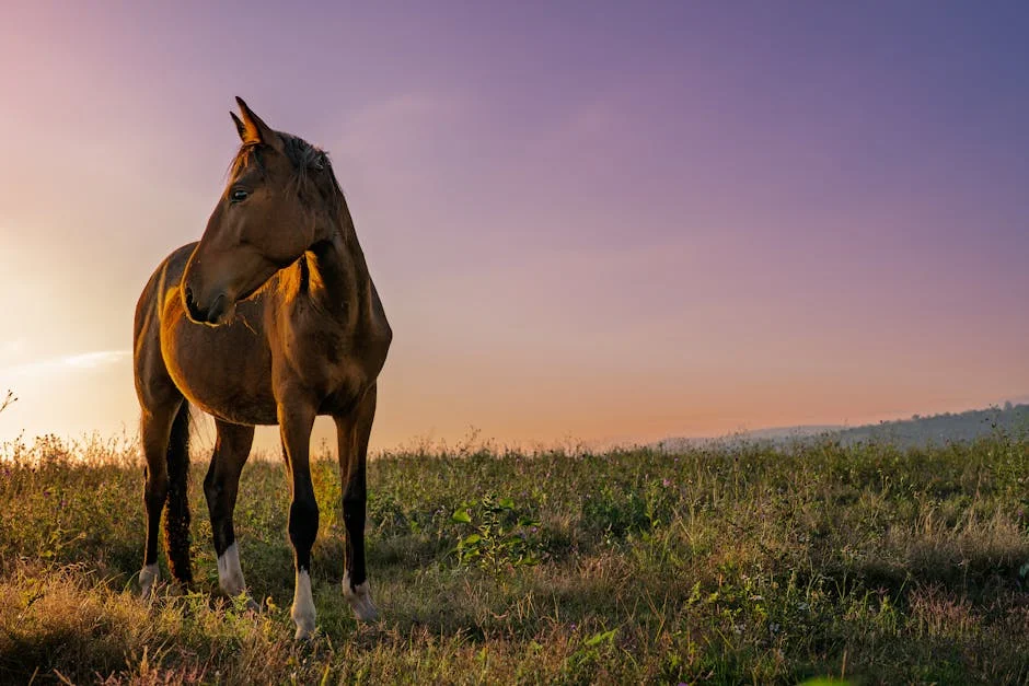 Experts Warn on Horse Urine Perfume Scams in India