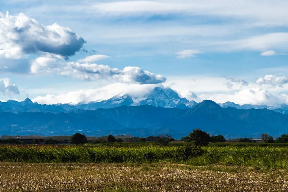 A Fresh Perspective on Current Affairs — BlurryBay