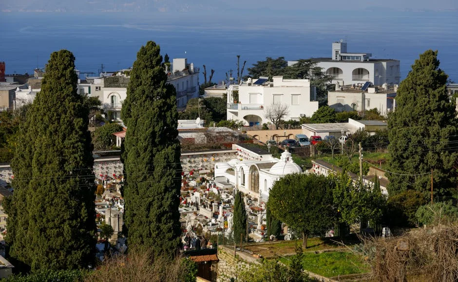 A Fresh Perspective on Key Issues — BlurryBay