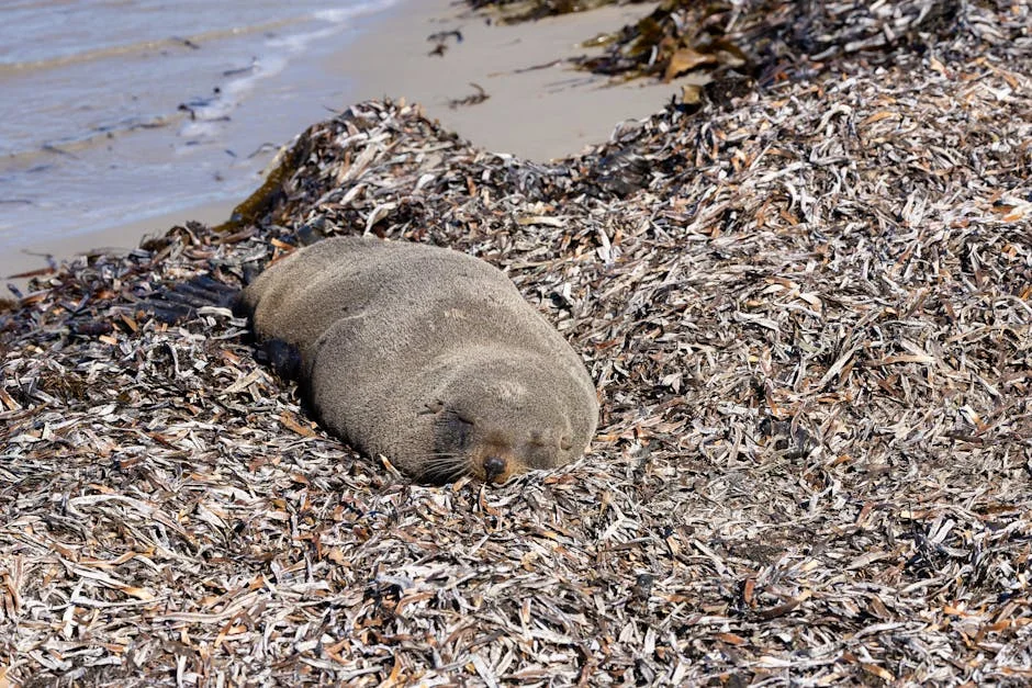 Ezemvelo Invites Private Partners to Revitalise South Coast Accommodation: Boosting Local Tourism — Business Economy