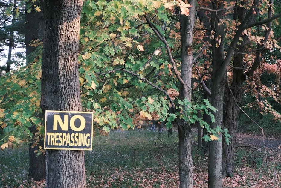 Ezra Klein Warns: How Fast Will A.I. Agents Rip Through the Economy?