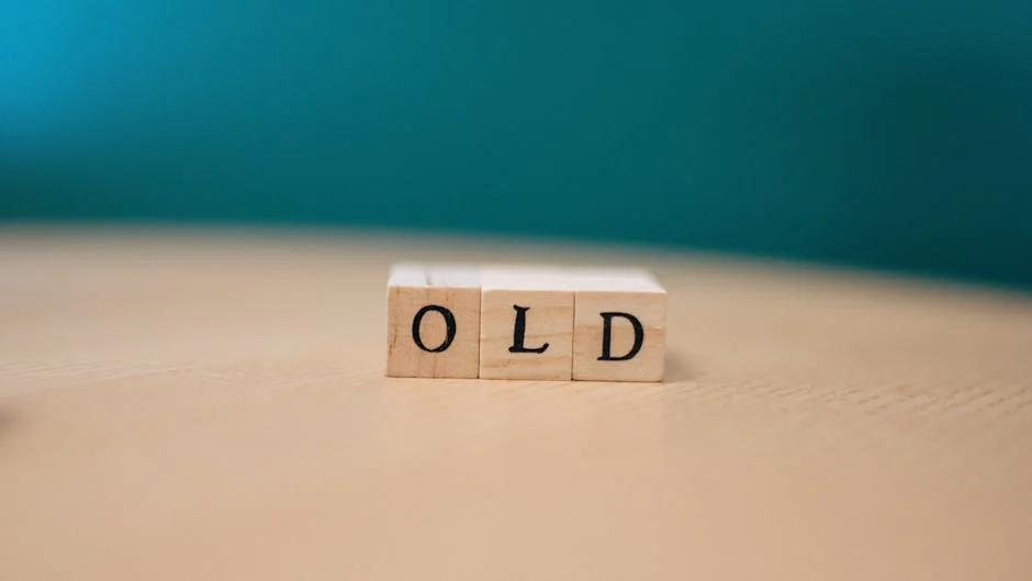 FA Cup Fixtures Unveiled — Fans Across England Prepare for Big Matches — Business Economy