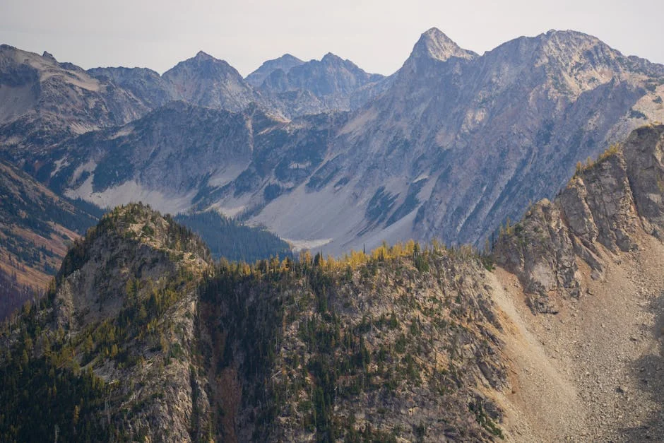 Far-Right Parties Pass Nationality Law — and Indians in Portugal Face New Challenges