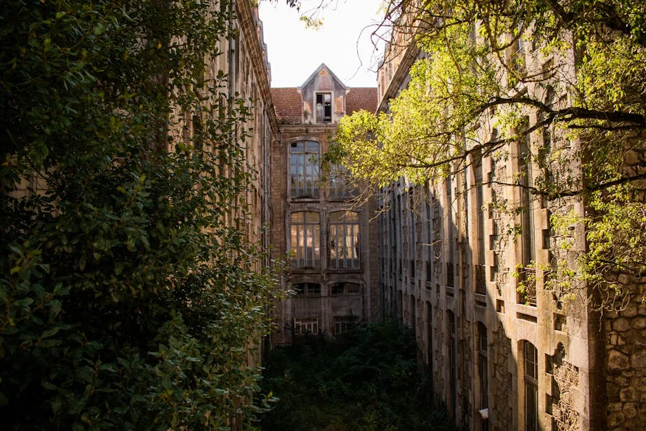 Figueiró dos Vinhos reveals infrastructure losses of €11.6 million: community faces challenges — Health Medicine