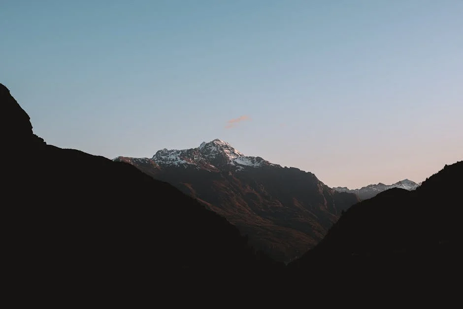 Finn Allen's Century Leads New Zealand Past South Africa: What It Means for Kiwis