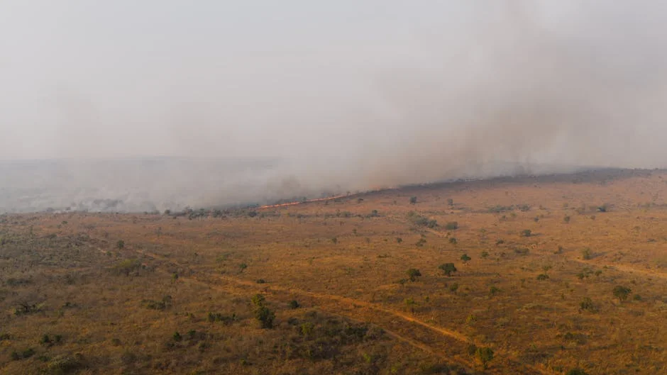 Fire Engulfs Serra do Caramulo, Forces Evacuations