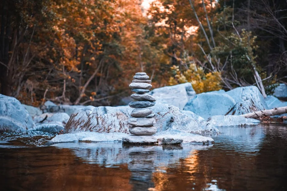 FirstRand Ups Dividend Amid Higher Earnings — What It Means for Investors — Business Economy