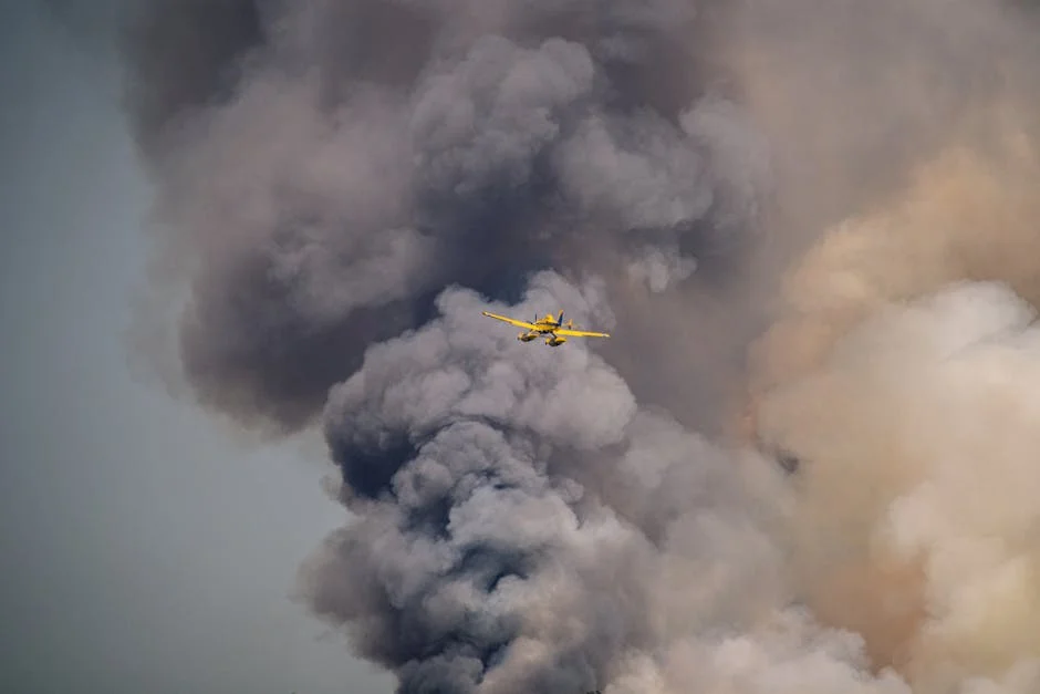 Fitch Confirms Portugal's Rating but Hints at Upgraded Outlook — What This Means for Citizens — Business Economy