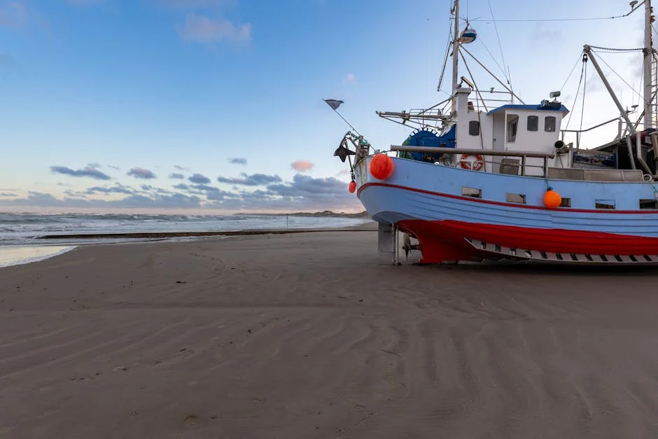 Germany's Stranded Humpback Whale Begins Journey Back to Sea