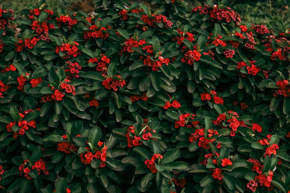 Government Launches Udayagiri South Police Station in Mysuru: What This Means for Residents