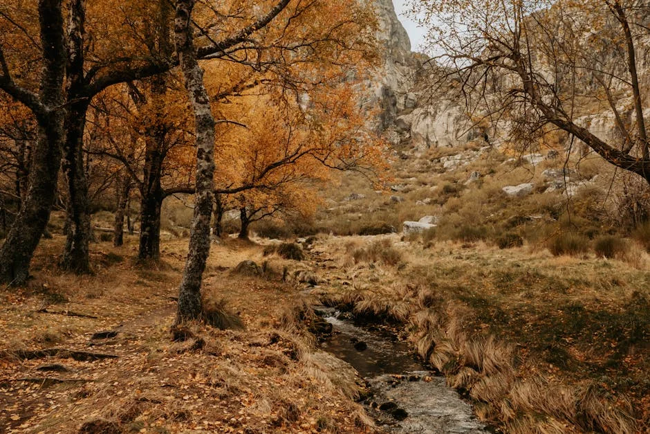 Guardas Union Slams Neglect in Prisons: A Call for Immediate Reform — Business Economy