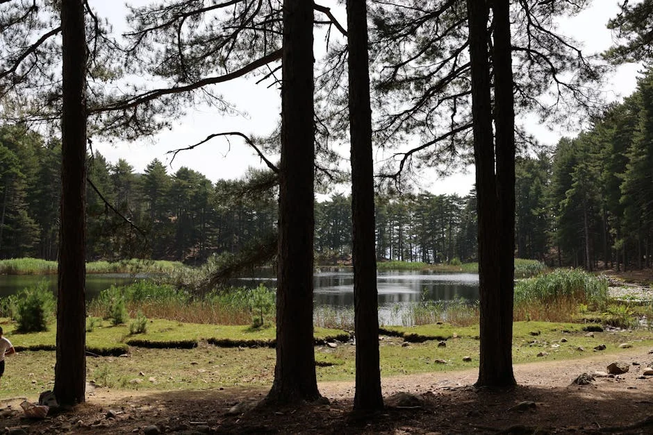 Gustavo Marques suspended for 12 matches over sexist comments: What it means for Brasil football — Business Economy