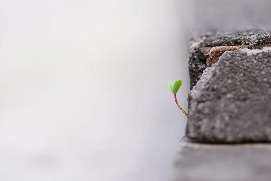 HONOR Wins Global Acclaim at MWC 2026 for Magic V6 Foldable Innovation: Here's What It Means — Business Economy