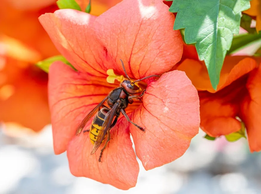 Hornets Shock Celtics with Last-Minute Victory: What This Means for Local Fans — Business Economy